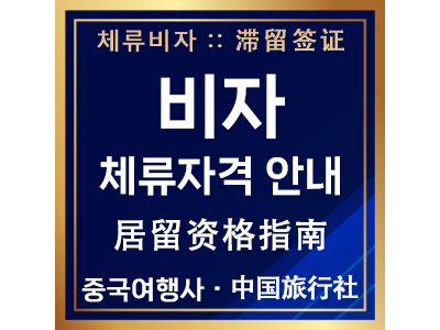 비자 체류자격 안내